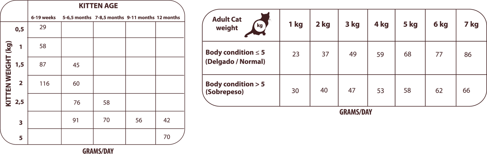 ALIMENTO COMPLETO para GATITOS A PARTIR DE 1 MES y GATOS ADULTOS - Todas las razas