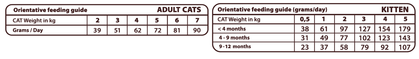 ALIMENTO COMPLETO para GATITOS A PARTIR DE 1 MES y GATOS ADULTOS - Todas las razas