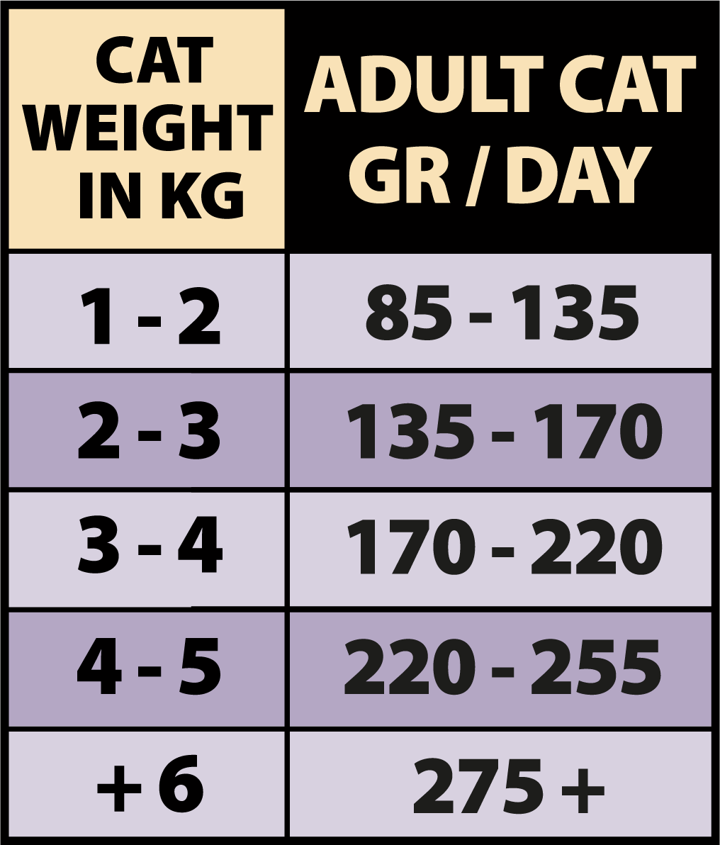 ALIMENTO HÚMEDO COMPLETO PARA GATOS ADULTOS y ADULTOS ESTERILIZADOS