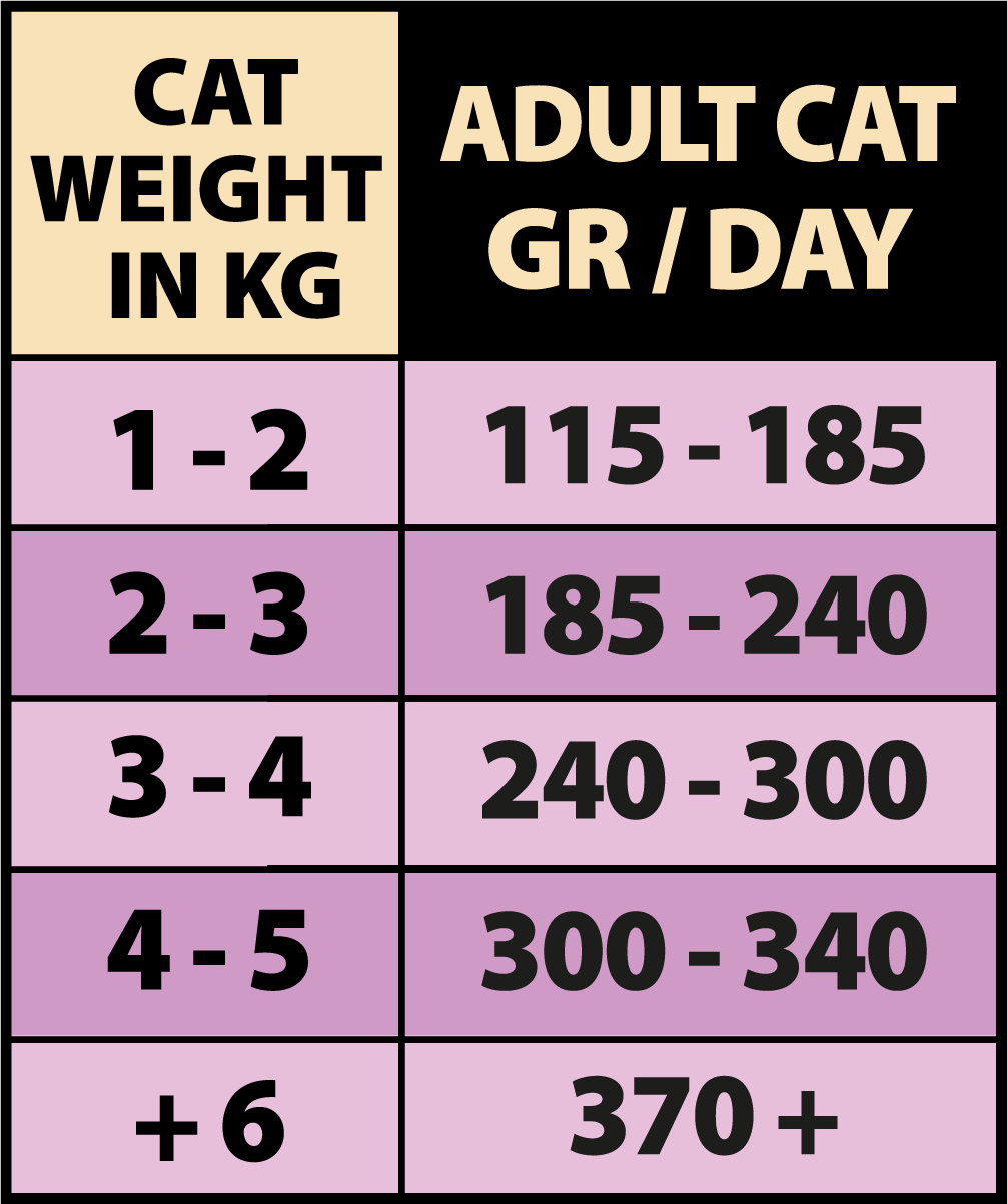 ALIMENTO HÚMEDO COMPLETO PARA GATOS ADULTOS