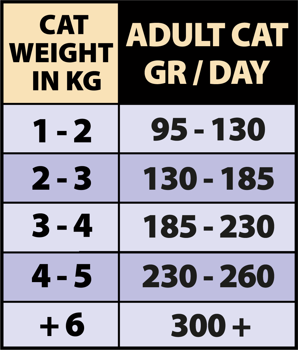 ALIMENTO HÚMEDO COMPLETO PARA GATOS ADULTOS