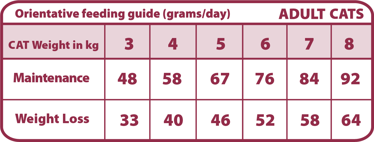 Natural Greatness OBESITY &amp, DIABETIC